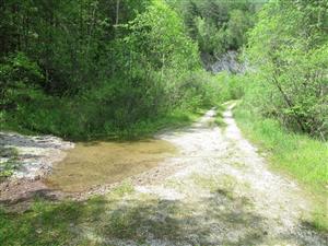 Biotop druhu Bombina variegata 