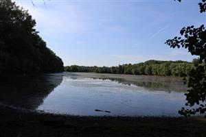 Pohľad na časť TML Vodný Mlyn Kolárovo, bývalé mater. jamy. Foto: 2.6.2025, J.Lengyel. 