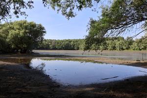 Pohľad na časť TML Vodný Mlyn Kolárovo, bývalé mater. jamy. Foto: 2.6.2025, J.Lengyel. 