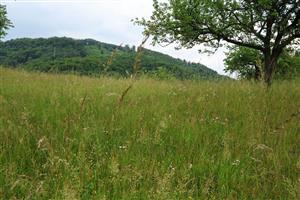 Pohľad na biotop z pozície z roku 2021