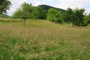 Úhor na bývalej obrábanej ploche