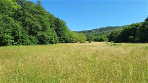Záber na monitorovaný biotop. 