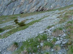 Karbonátové sutiny pod stenami Nového