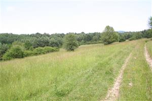 Pohľad na centrálnu lúku v smere východ