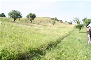 Celkový pohľad na biotop v smere sever