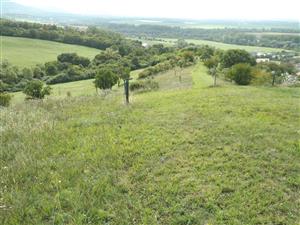 Celkový pohľad na biotop v smere juh_fotené dodatočne_27092025