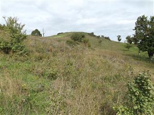 Celkový pohľad na biotop v smere sever_fotene dodatočne_27092025