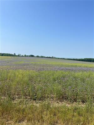 orná pôda - plocha