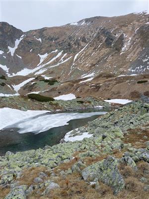 kotol Bystrej, Bystré plesá