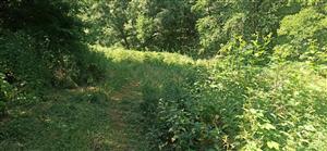 Pohľad na časť TML.