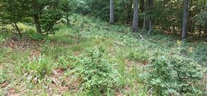 Pohľad na časť TML