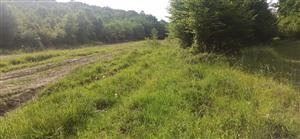 Pohľad na časť TML.