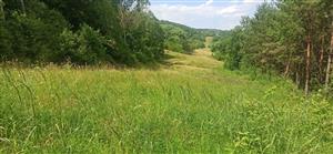 Pohľad na časť TML.