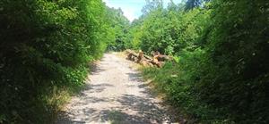 Pohľad na časť TML. 