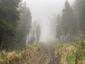 Mlynárka dlhochvostá (26.5.2025)