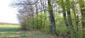 kolibiarik  sykavý (22.4.2025)