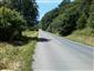 užovka stromová (10.6.2014)