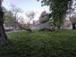 trasochvost biely (28.4.2025)