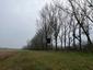 trasochvost biely (30.5.2025)