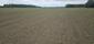 strnádka lúčna (4.5.2025)