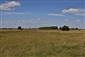mlok dunajský (24.6.2014)
