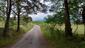 trasochvost biely (13.5.2025)