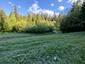 Pŕhľaviar čiernohlavý (25.5.2025)