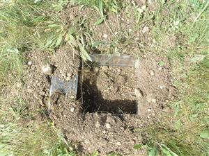 zemná pasca (Tuber aestivum)