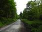 Vrana popolavá (28.4.2025)