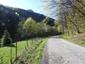 trasochvost biely (28.4.2025)