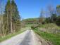 svrčiak zelenkavý (28.4.2025)