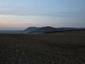sova lesná (obyčajná) (8.3.2025)