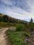 trasochvost biely (8.5.2025)