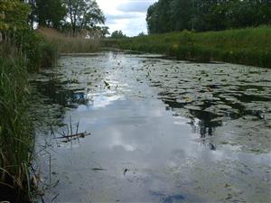 Martovce, kanál