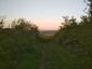 trasochvost biely (8.5.2025)