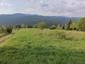 Žltochvost lesný ( hôrny) (22.5.2025)