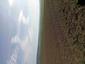 Muchárik červenohrdlý ( malý) (19.5.2025)