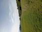 trasochvost biely (28.5.2025)