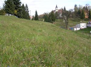 Pohľad na TML, celkový