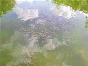 Pohľad na plochu TML