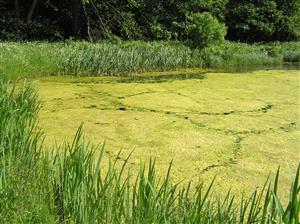 Pohľad na plochu TML