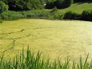 Pohľad na plochu TML