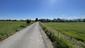 Kukučka obyčajná (jarabá) (8.5.2025)