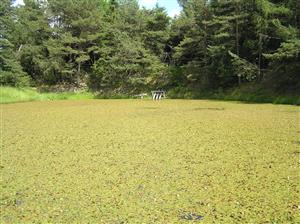 Pohľad na TML, celkový