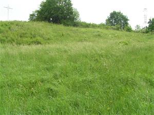 Pohľad na TML, celkový