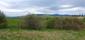 Žltochvost lesný ( hôrny) (24.5.2025)