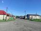 kolibiarik  sykavý (27.4.2025)