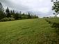 Jariabok hôrny (24.5.2025)