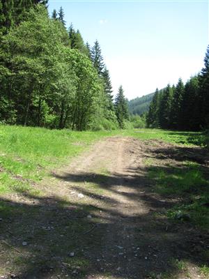 Pohľad na TML