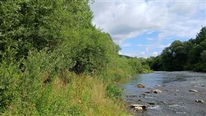 Pohľad na TML z brehu Váhu
